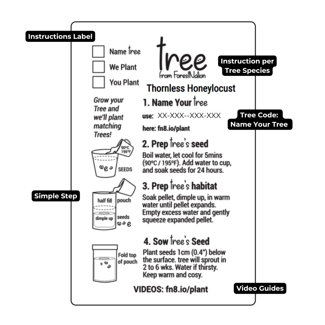 Capricorn Zodiac Tree